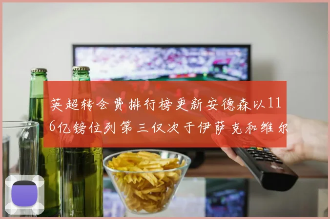 英超转会费排行榜更新安德森以116亿镑位列第三仅次于伊萨克和维尔茨