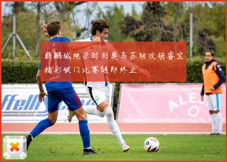 新鹏城绝杀时刻奥乌苏助攻胡睿宝精彩破门比赛随即终止
