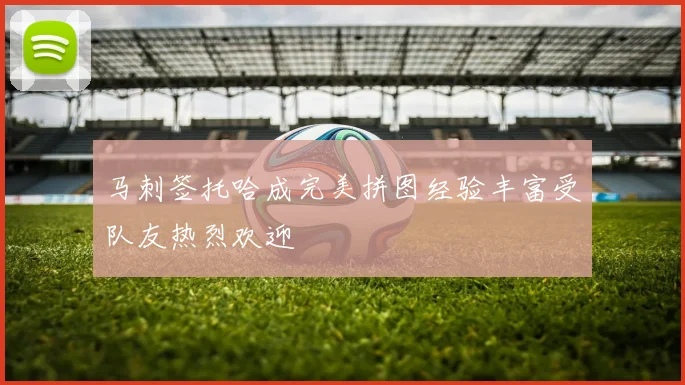 马刺签托哈成完美拼图经验丰富受队友热烈欢迎